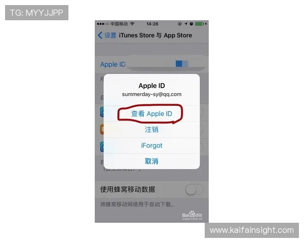 K8手机登录会员登录的最新安全措施与防护技巧详解
